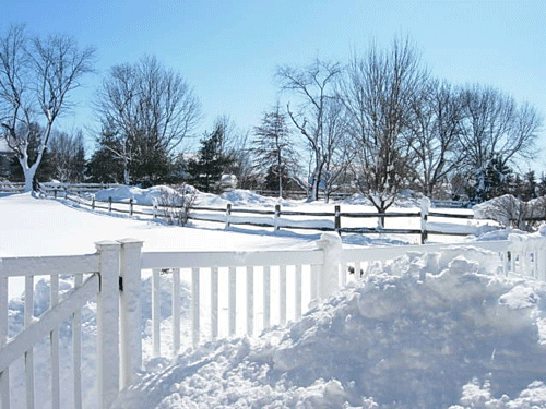 Snowy Yard