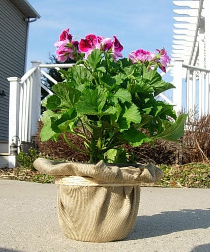 Decoupaged-flower-pot-4