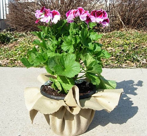 Decoipaged-Flower-Pot-6