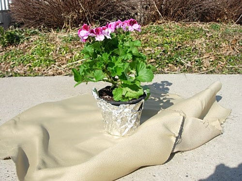 the most effective method to transform and decorate a flower pot how to wrap flower pots with paper