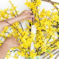 Arranging spring flowers in a vase
