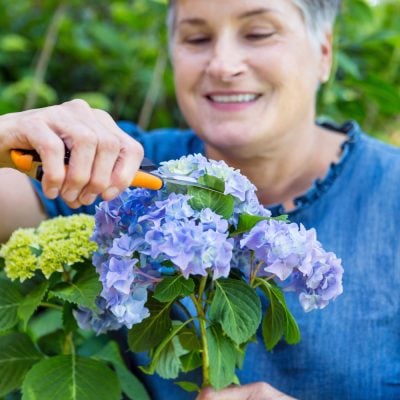 Diane of In My Own Style cutting hydrangeas for flower arranging