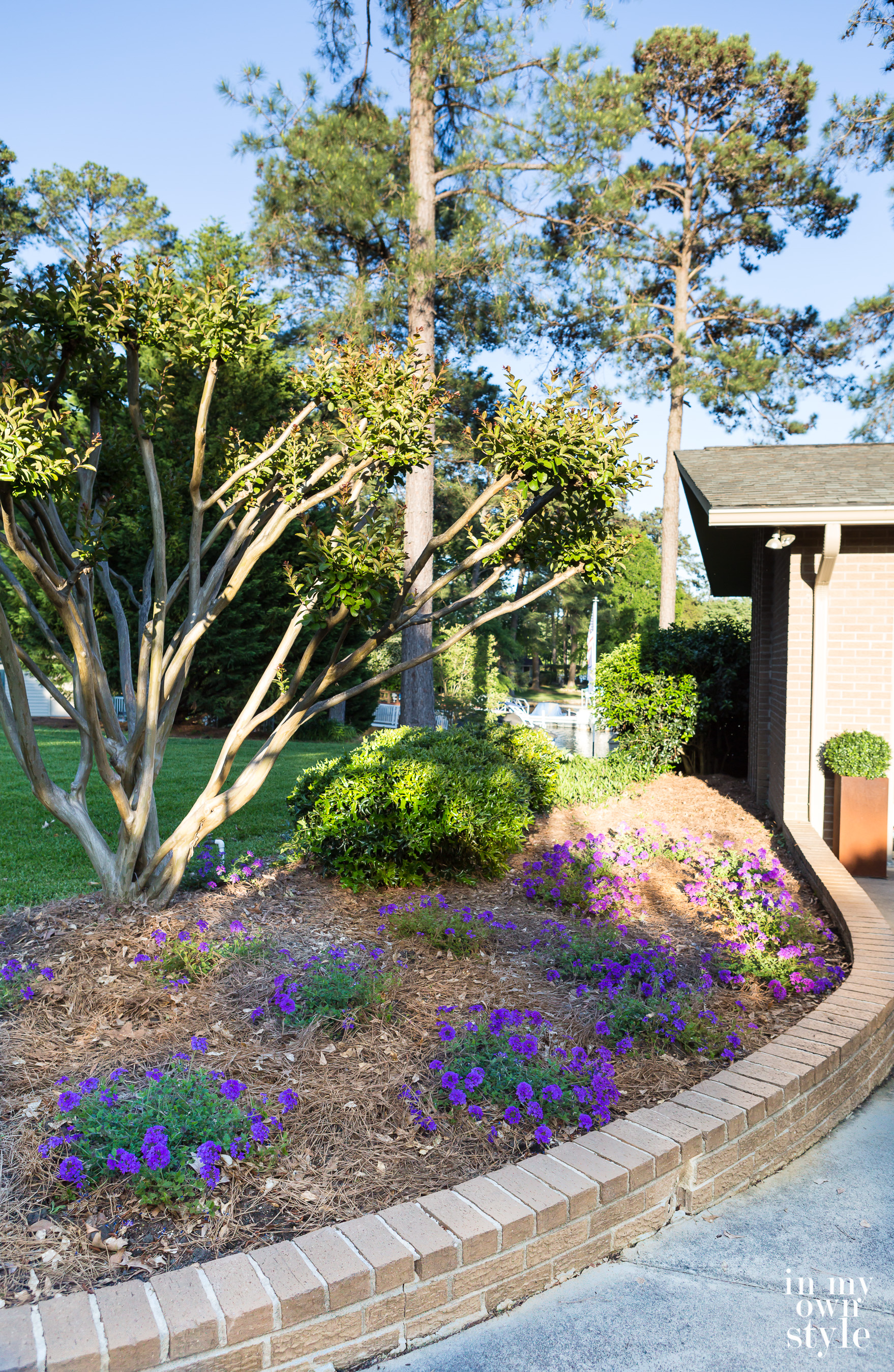 What Flower to Plant That Rabbits Don't Like In My Own Style