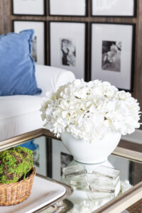 White spray painted planter filled with white hydrangeas on coffee table