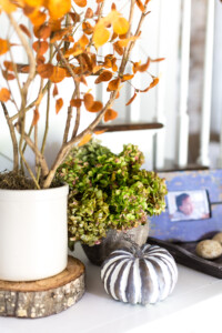 Fall decor for a console table