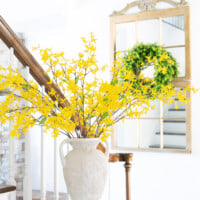 Spring forsythia blooming in vase on a foyer table. Gold mirror in the background with green wreath on it.