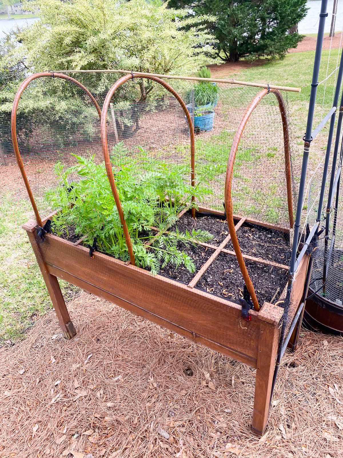 How to Keep Squirrels Out of Raised Garden Beds Homestyling Guru
