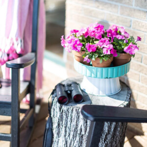 a tree stump made into an outdoor table with pink petunias on it.