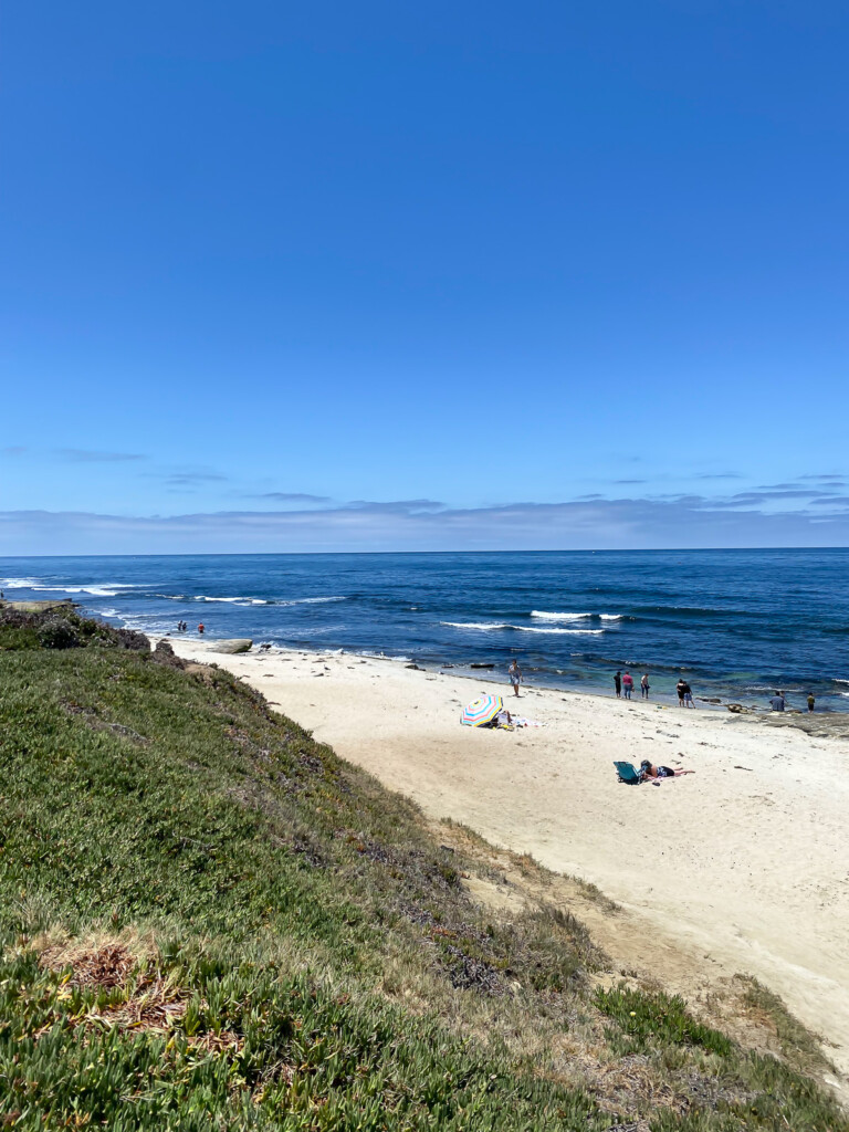 Looking out at the Pacific ocean from La Jolla.