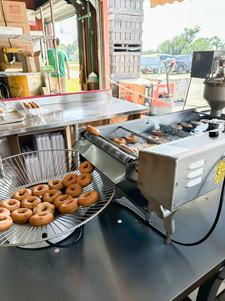 cider donuts being made at Windy Hill Orchards in York, SC
