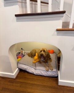 comfy dog space under a staircase