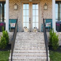 two dogs sitting on front porch of brick home