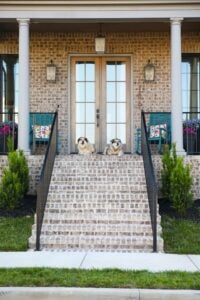 two dogs sitting on front porch of brick home