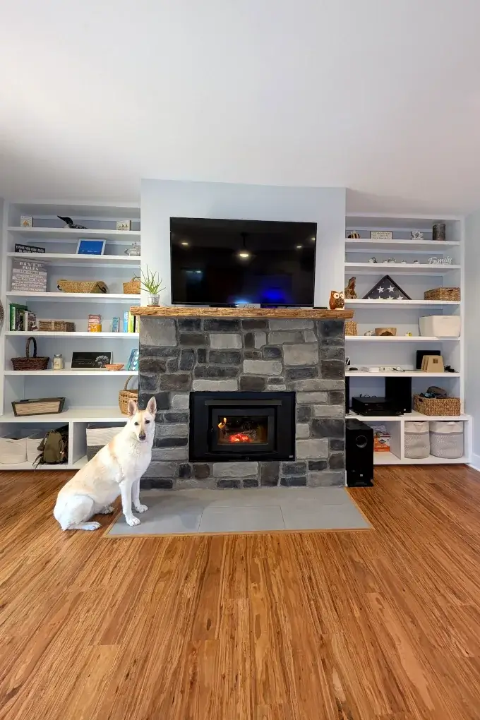 Fireplace in the center with built in shelves on each side with a German Shepherd in front of the fireplace