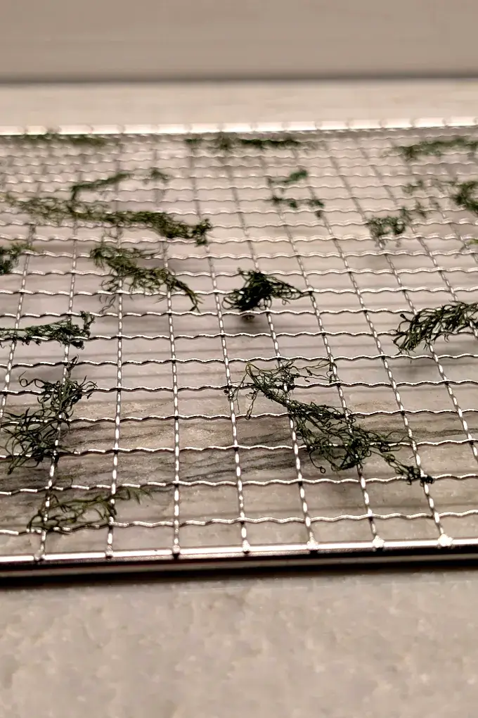 Dried dill on a dehydrator drying rack
