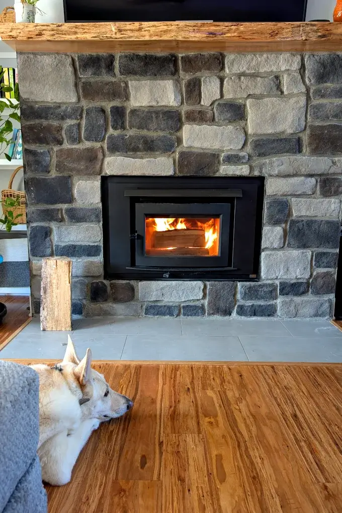 White German Shepherd laying in front of a fireplace with a fire in it