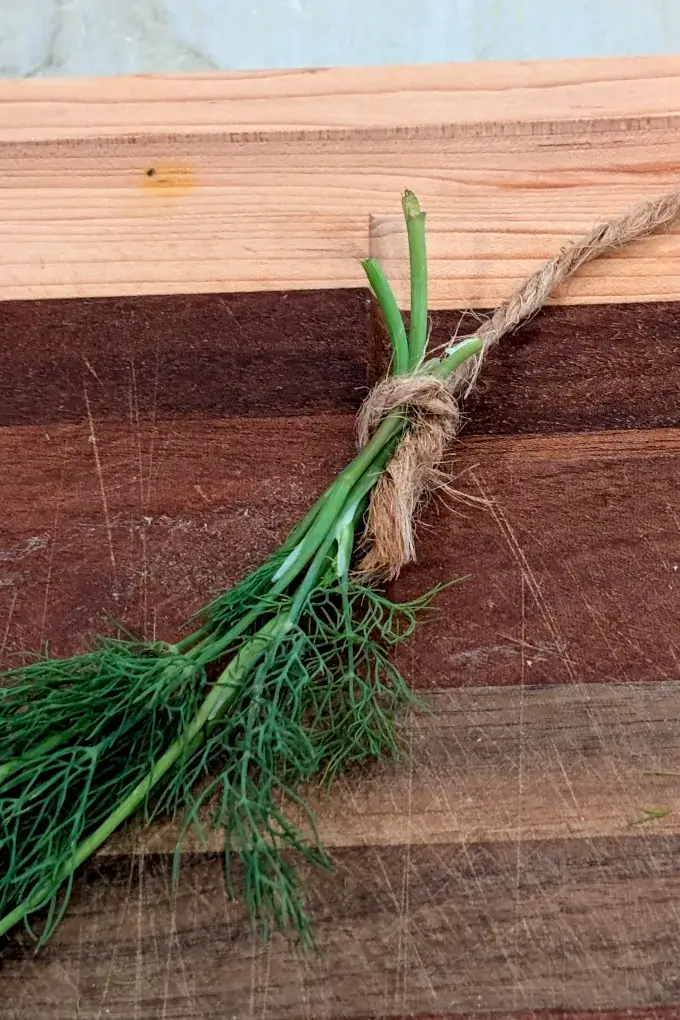 Fresh dill on a cutting board, tied up with twine to hang and air dry