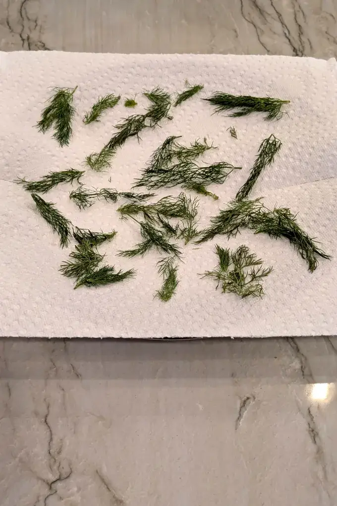 Fresh dill on a paper towel on a plate - ready for the microwave