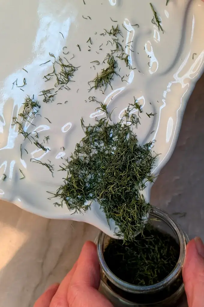Pouring dried dill from a plate into a glass jar
